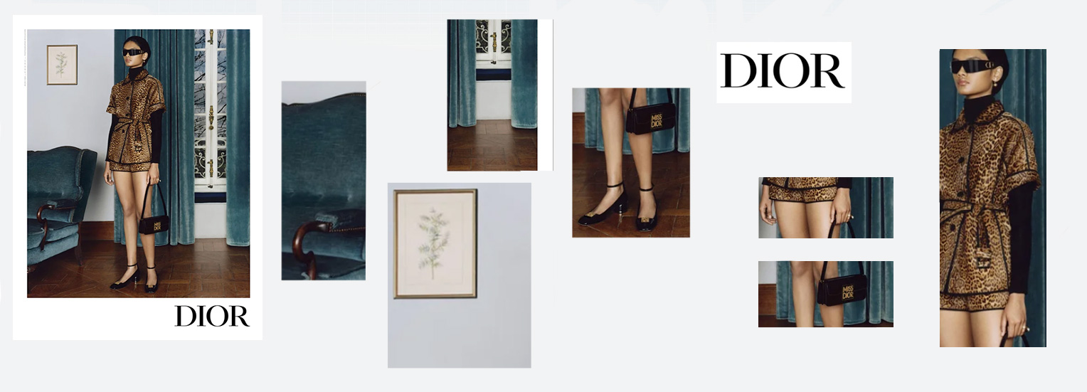 Dior deconstruction collage